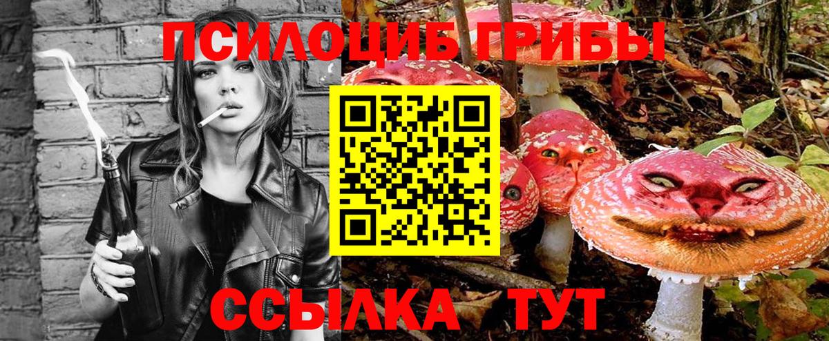 Свободный  Псилоцибиновые грибы Magic Shrooms  Вход с VPN  Псилоцибиновые грибы прущие грибы 