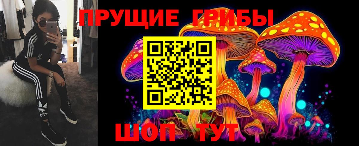 Галлюциногенные грибы мицелий Свободный
